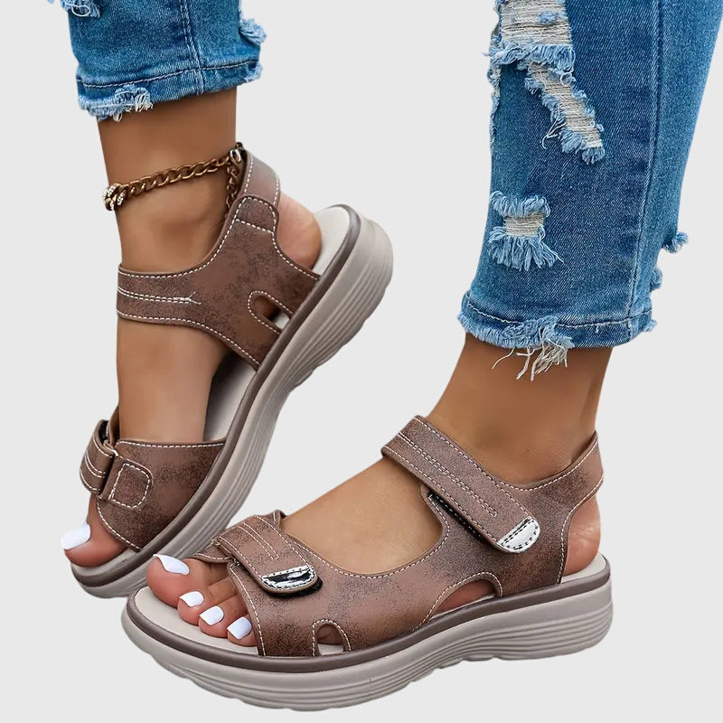 https://cdn.shopify.com/s/files/1/0739/9948/2949/files/cc83caead777415194dabe1af47a61cd.jpg