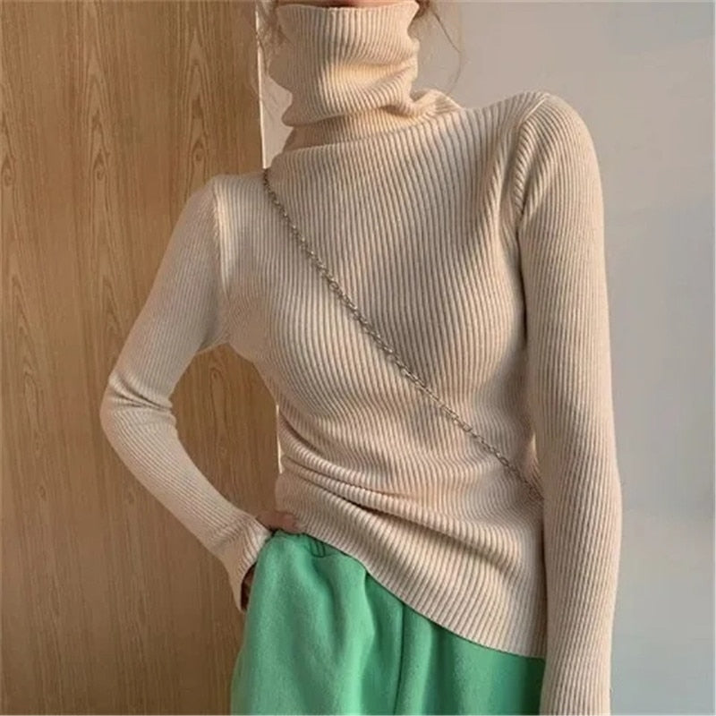 Rina Women's Jumper with Ribbed Knit and Slim Fit Design 2