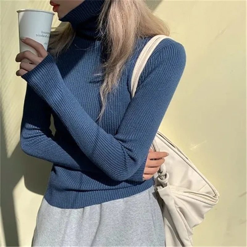 Rina Women's Jumper with Ribbed Knit and Slim Fit Design 4